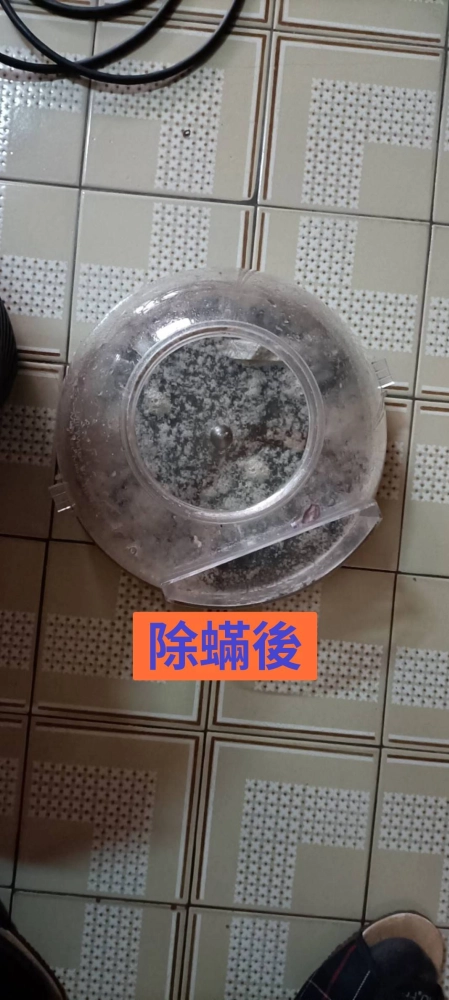 感謝自立路陳小姐的預約