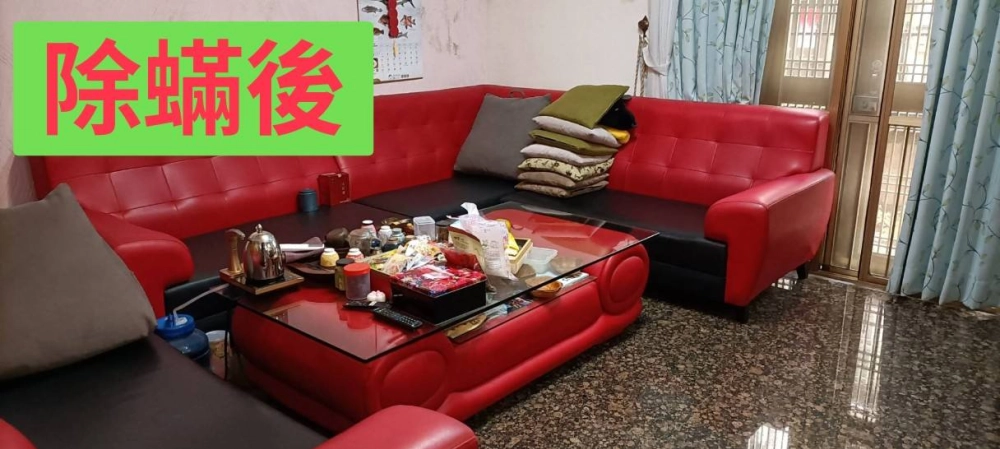 永安區曾小姐的預約除蟎