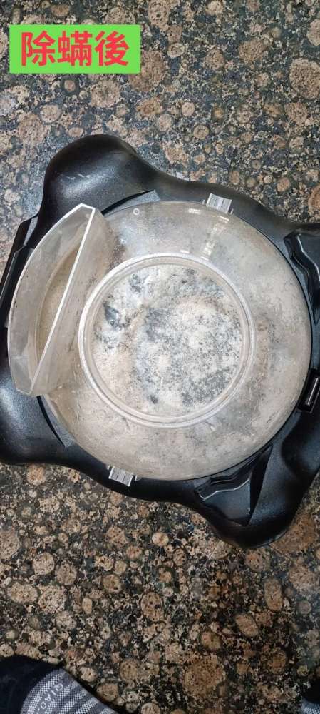永安區曾小姐的預約除蟎