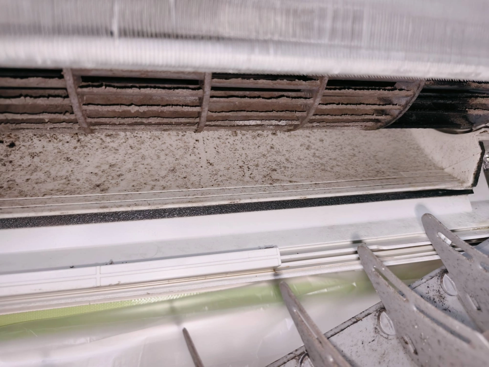 感謝橋頭區羅小姐的早上預約 做了1床墊清洗除塵蟎預約 鳳山區劉小姐下午預約 3冷氣清洗