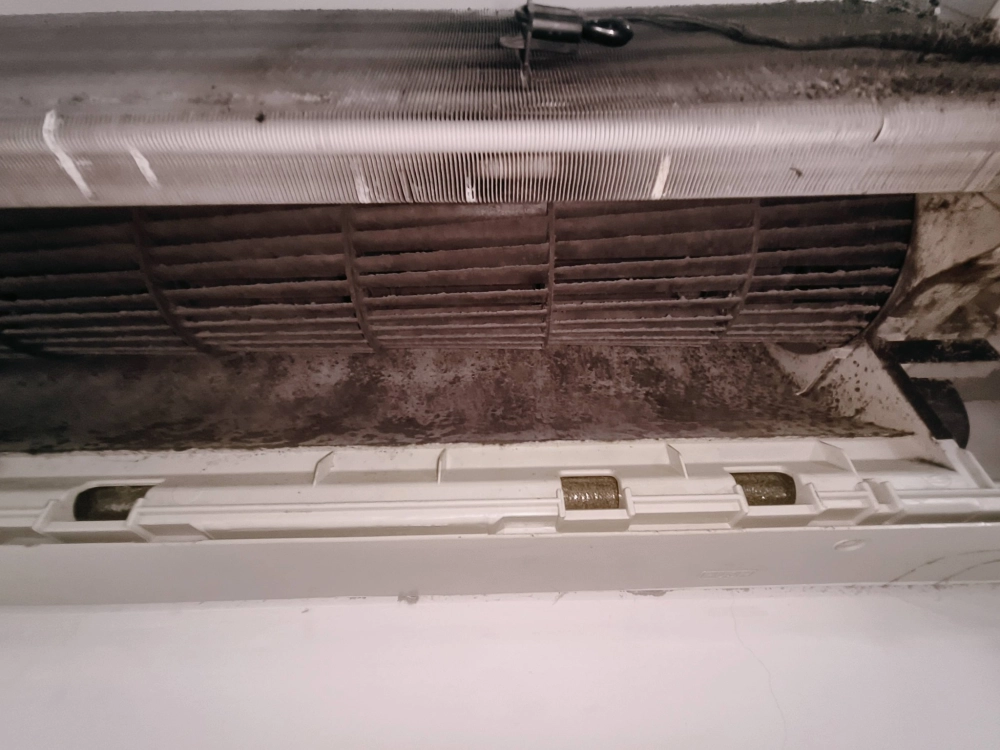 感謝鳳山區LiLi姐的早上預約 做了3臺冷氣1臺洗衣機清洗預約