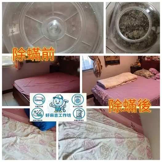 感謝左營區楊阿姨的預約 做了2個房間除塵蟎服務