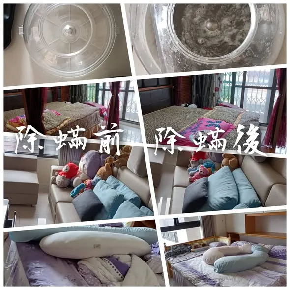 感謝左營區許先生的預約 做了2房1廳的服務