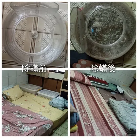 感謝新興區陳小姐的預約 做了1個房間除塵蟎服務