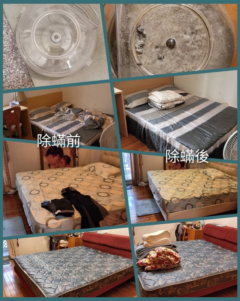 感謝楠梓區黃小姐的預約 做了1個房間除塵蟎服務