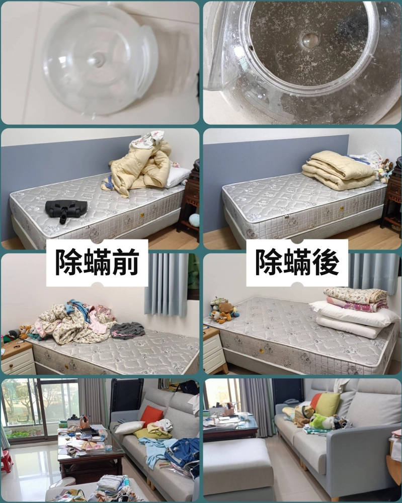 感謝左營區柯小姐的預約 做了3個房間的除蟎預約