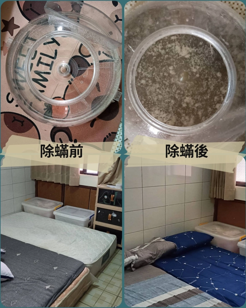 感謝新興區陳小姐的預約 做了一個房間除塵蟎