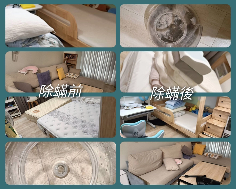 感謝鼓山區美術館曾小姐再次預約 做了2房間1客廳除蟎服務