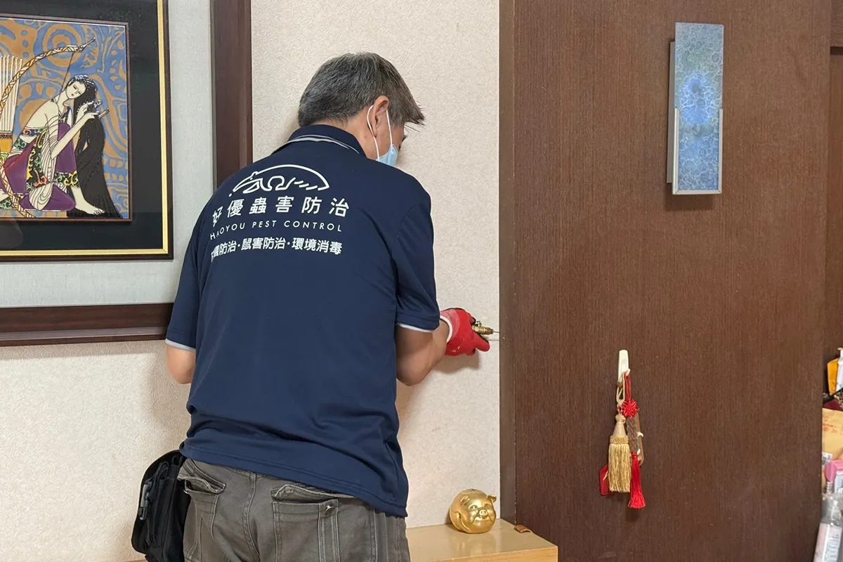白蟻防治案例01｜台南白蟻防治｜台南除白蟻