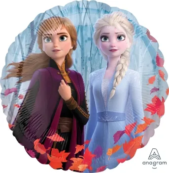 18吋 冰雪奇緣2-Elsa&Anna