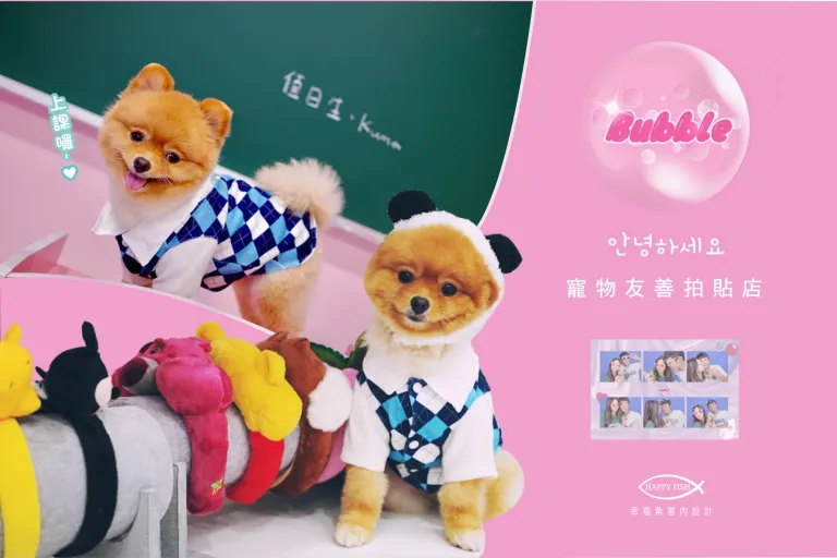 超夯 ! Bubble Film 韓式拍貼機店X嘉義文化路X林聰明砂鍋魚頭 │嘉義台中店面設計
