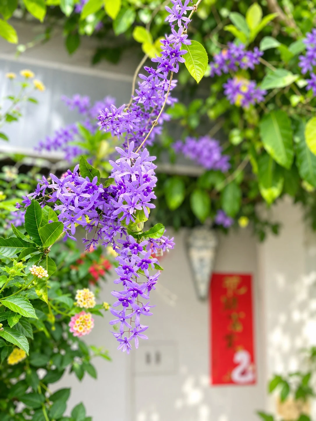 花園別樹