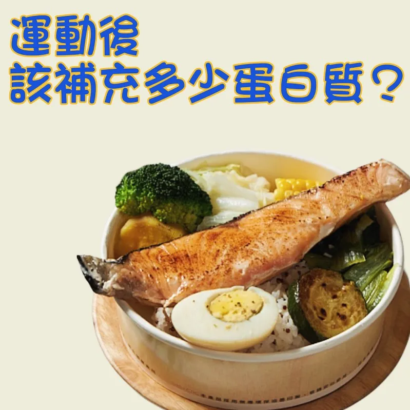 運動後該補充多少蛋白質