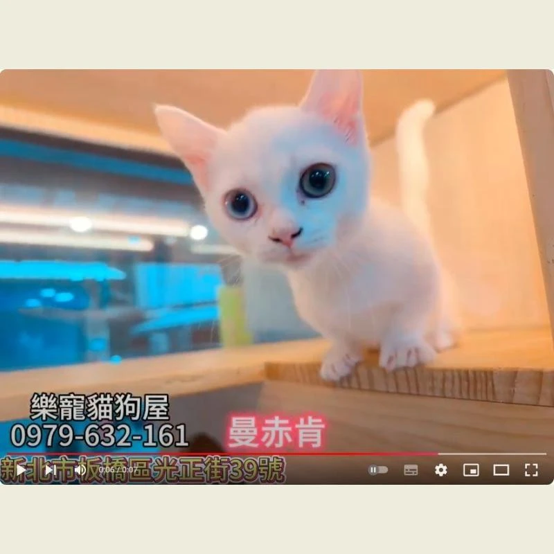 曼赤肯