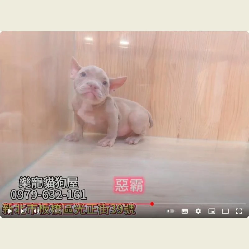 惡霸