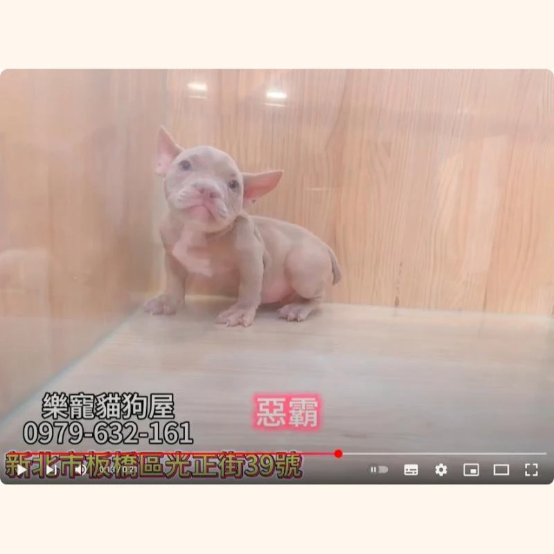 惡霸