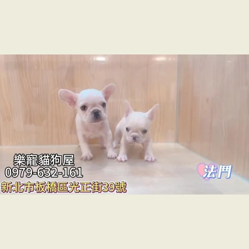 法鬥