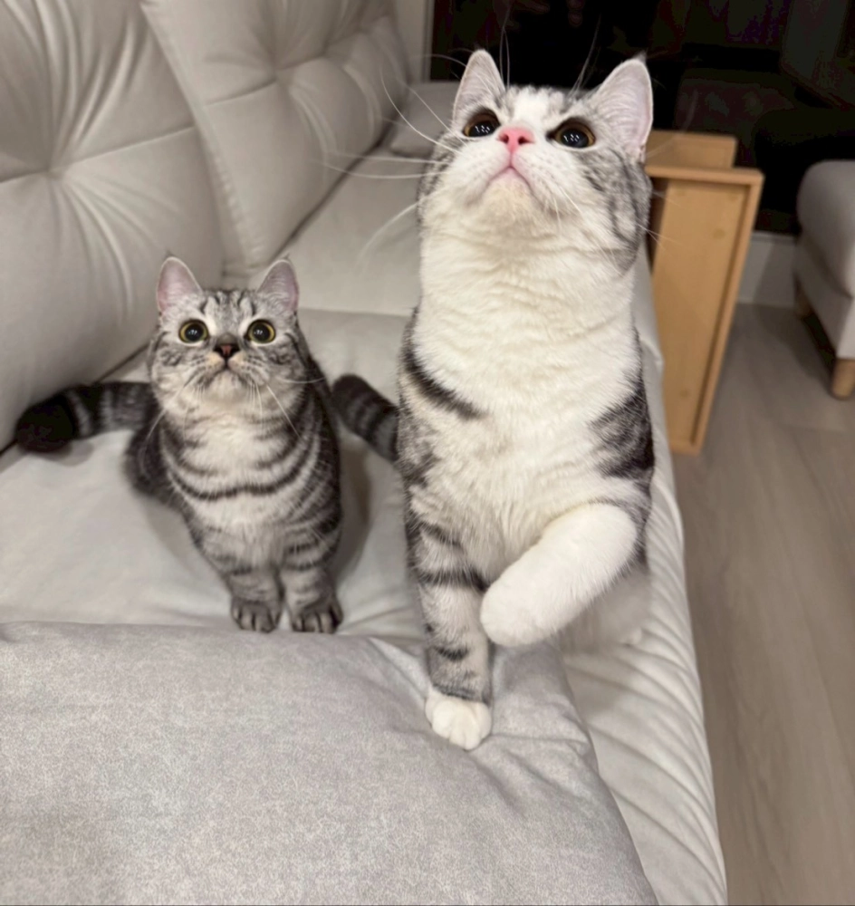 家長回饋照分享