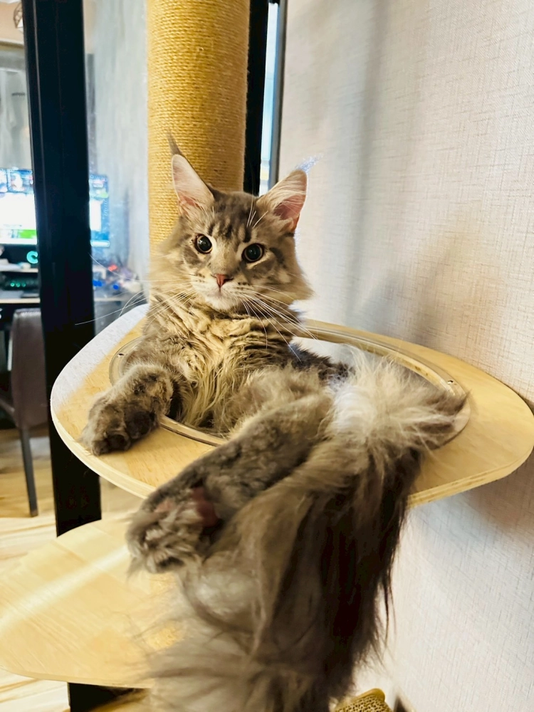 家長回饋照分享