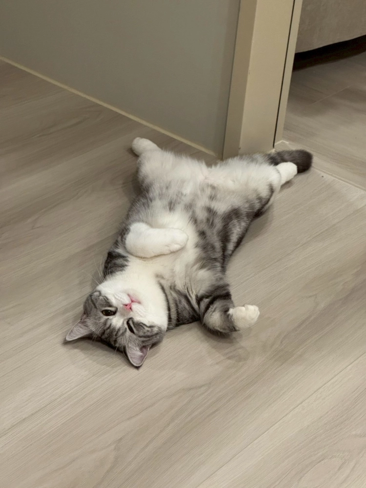 家長回饋照分享