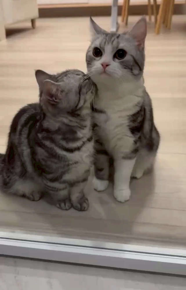 家長回饋照分享