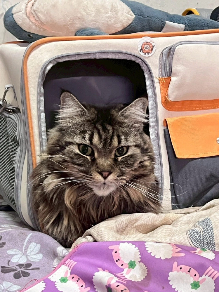 家長回饋照分享