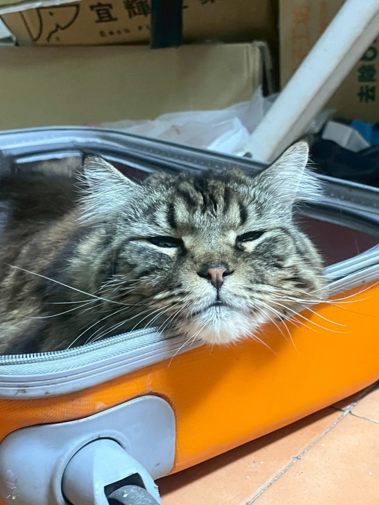 家長回饋照分享