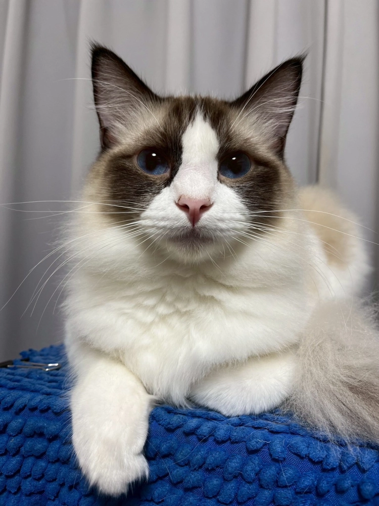 家長回饋照分享