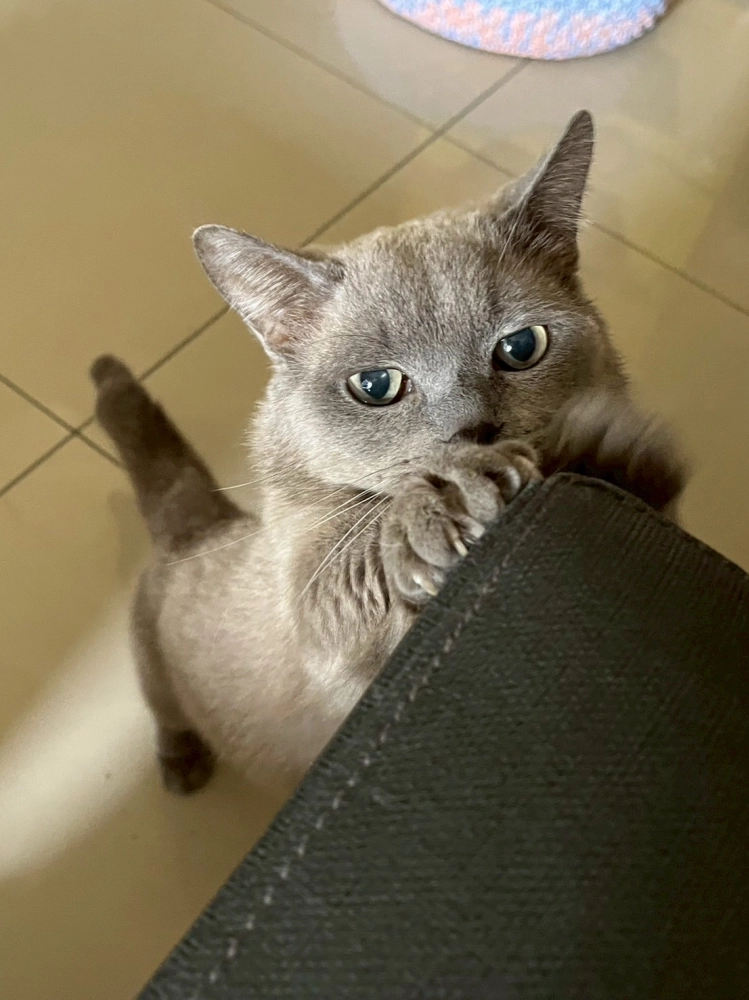 家長回饋照分享