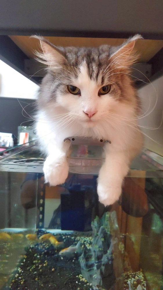 家長回饋照分享