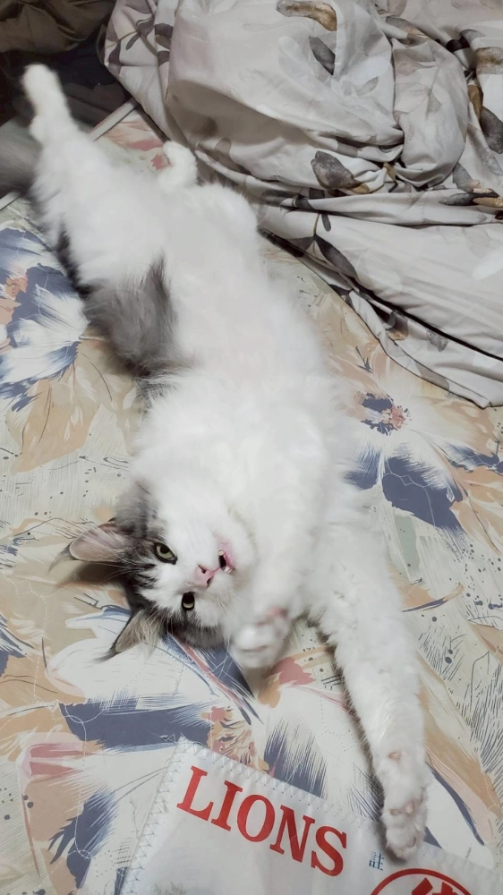 家長回饋照分享