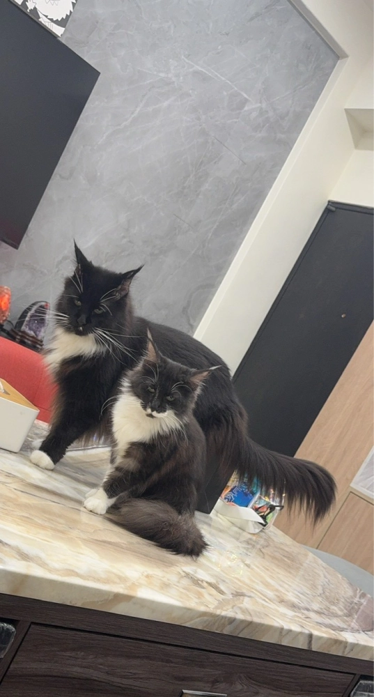 家長回饋照分享