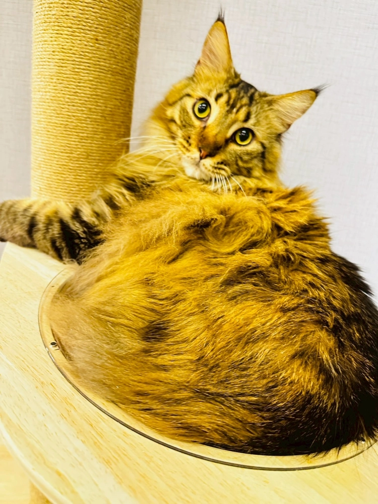 家長回饋照分享