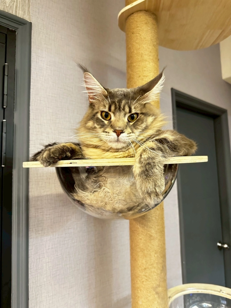 家長回饋照分享