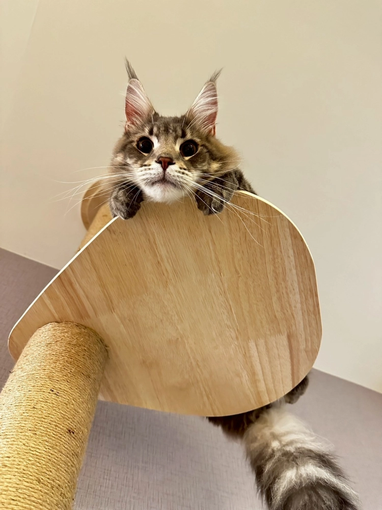 家長回饋照分享