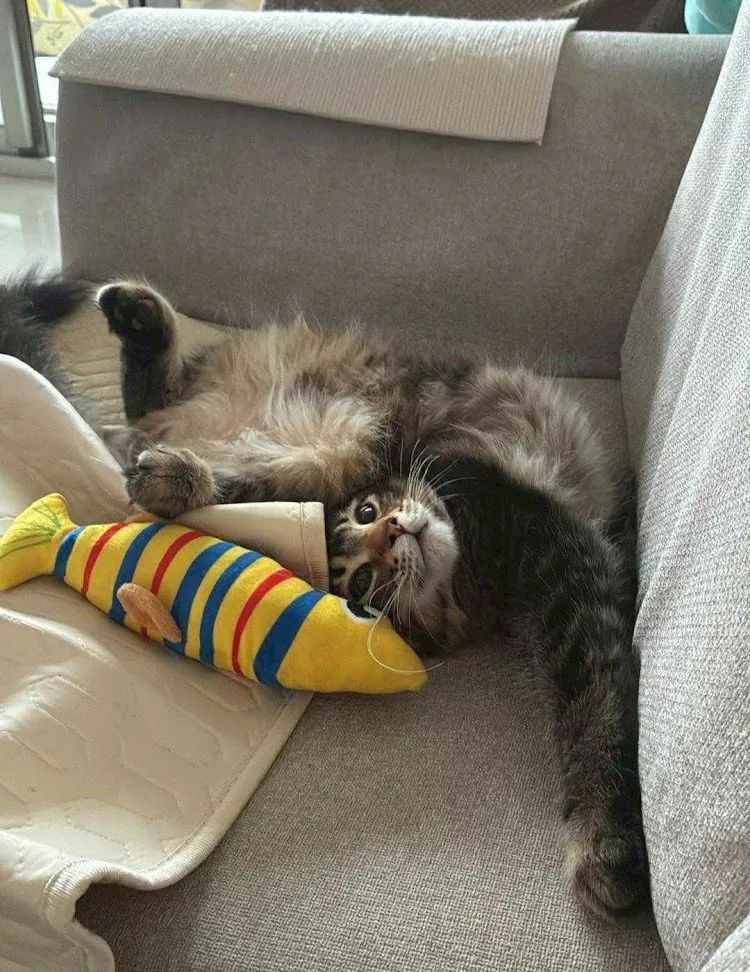 家長回饋照分享