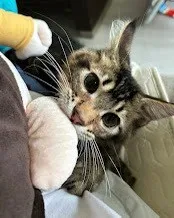 家長回饋照分享