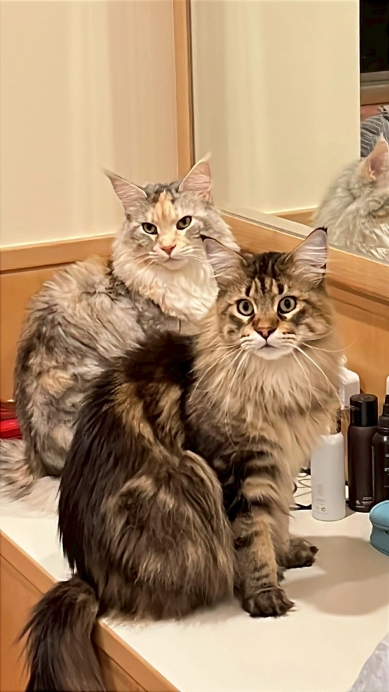 家長回饋照分享