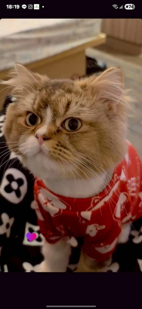 家長回饋照分享