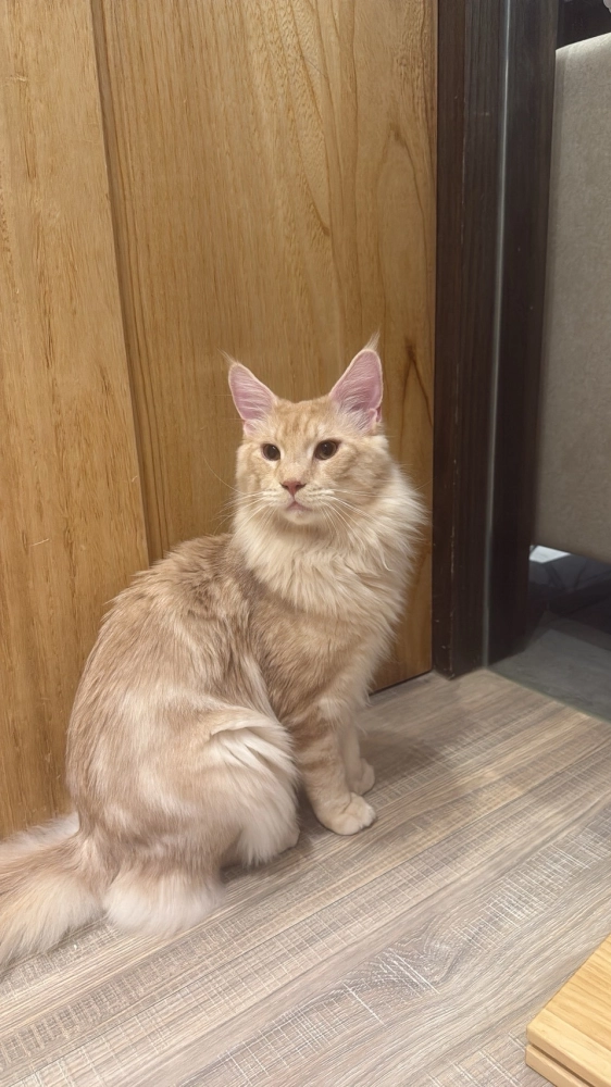 家長回饋照分享