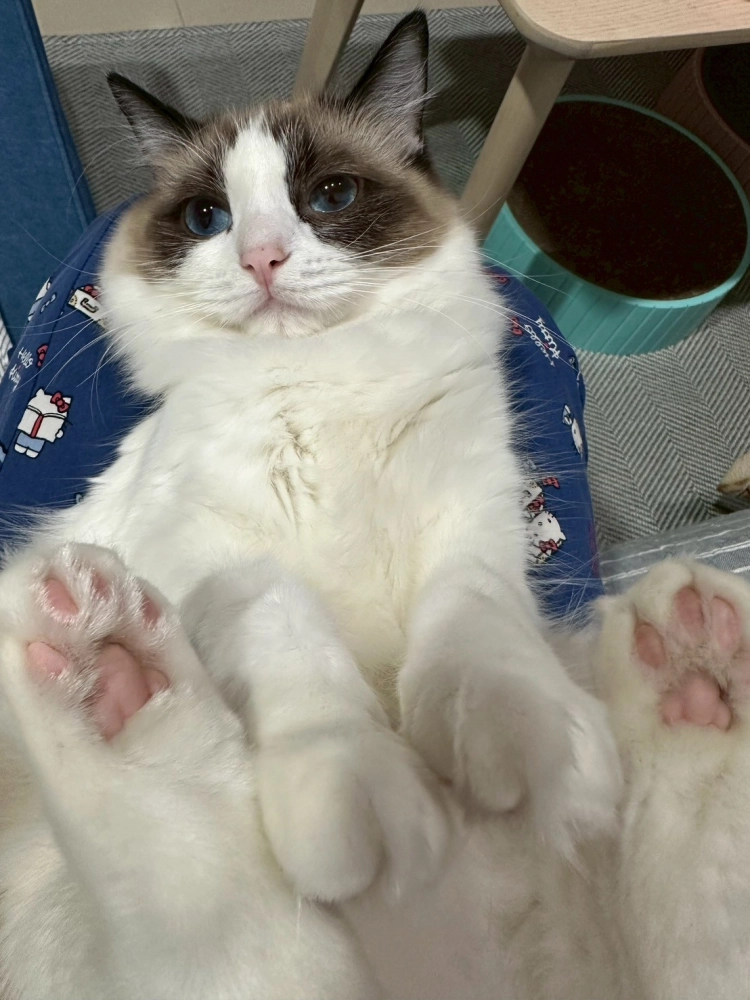 家長回饋照分享