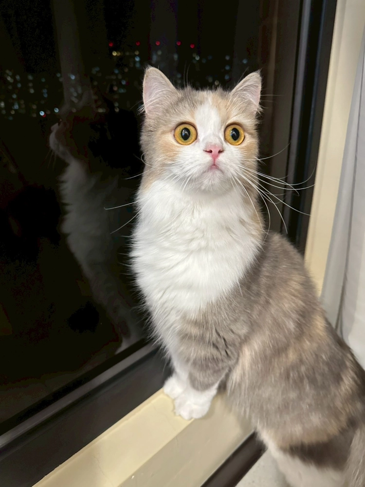 家長回饋照分享