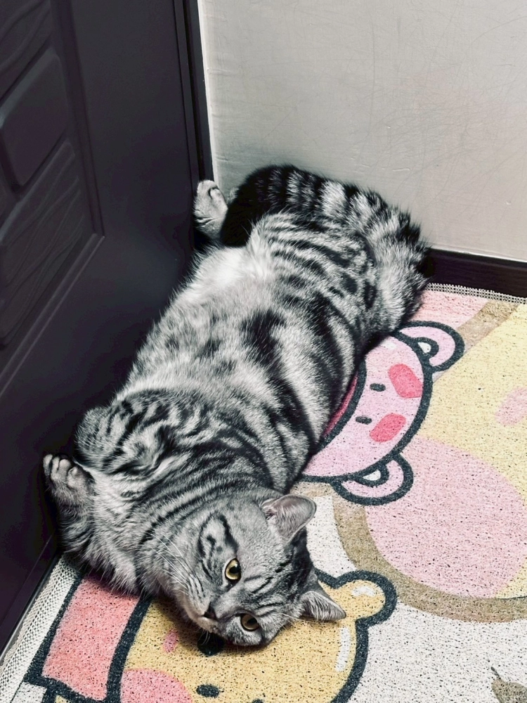 家長回饋照分享