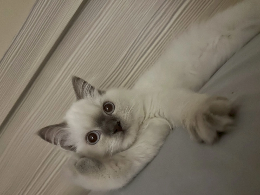 家長回饋照分享