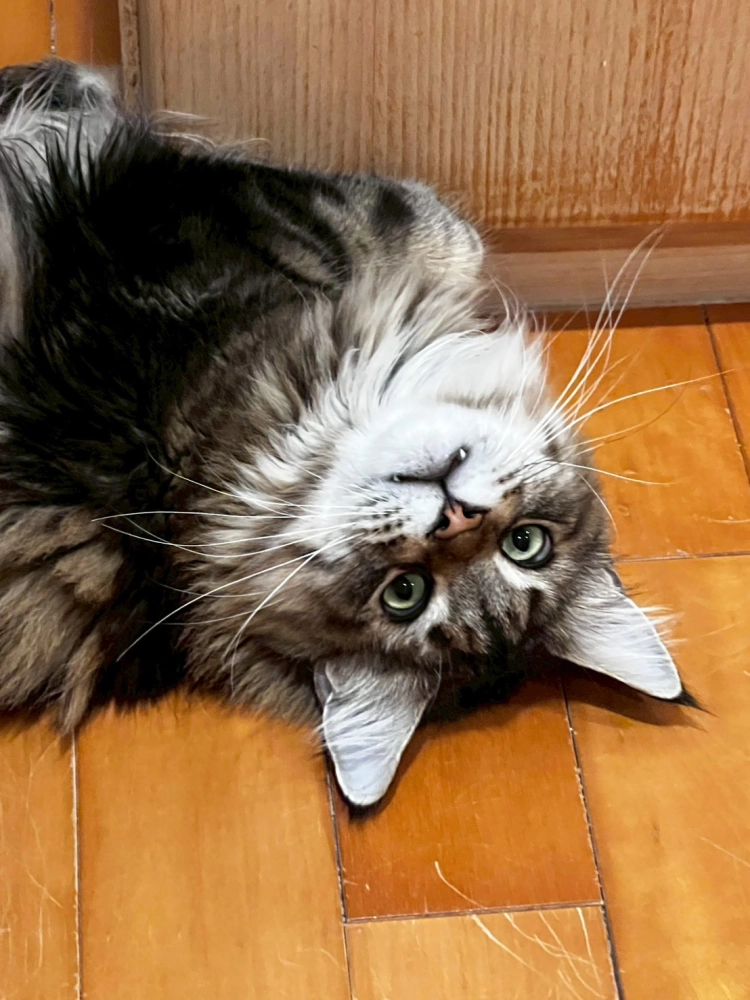 家長回饋照分享