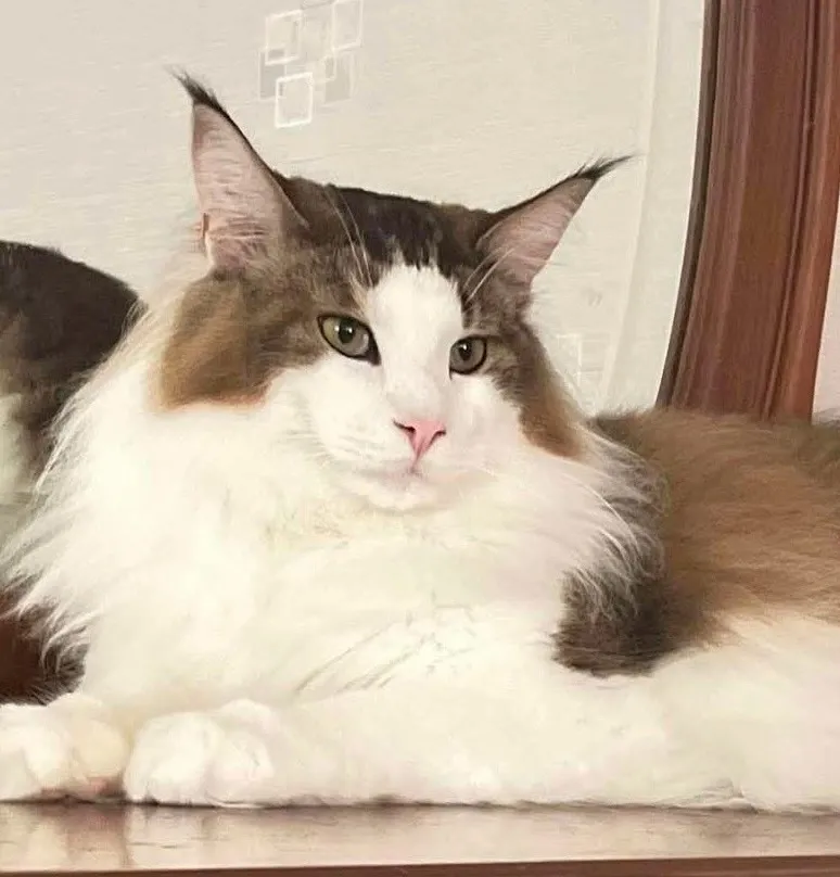 家長回饋照分享