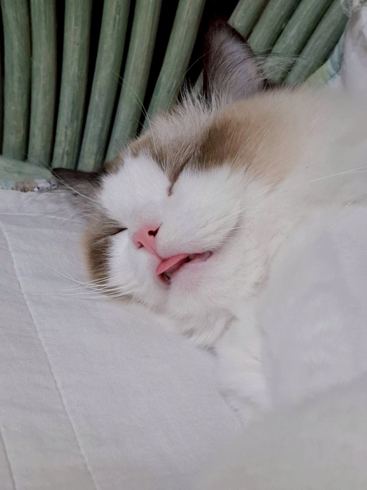 家長回饋照分享