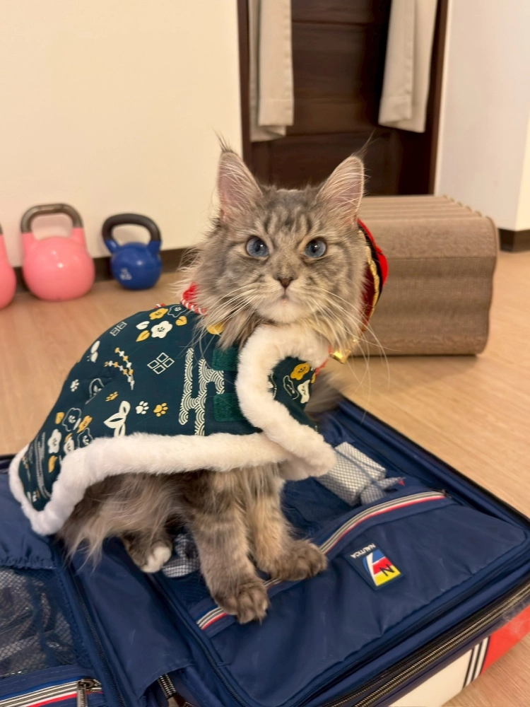 家長回饋照分享