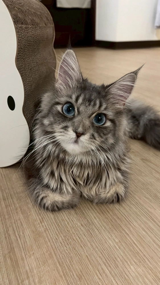 家長回饋照分享