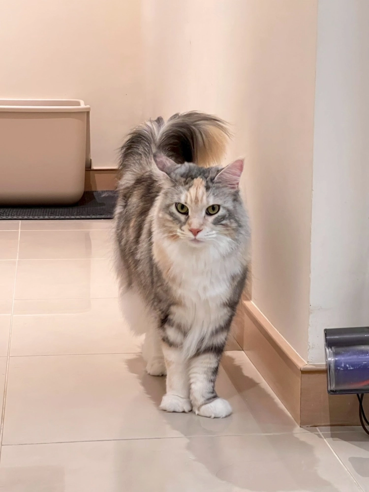 家長回饋照分享